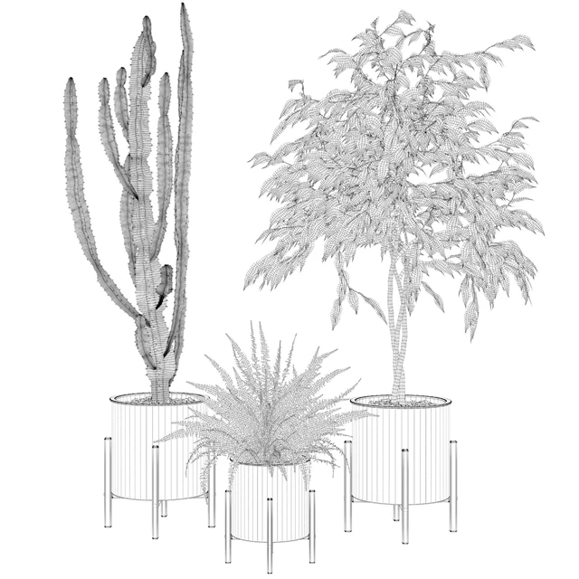 Plants collection 095 — Descargar