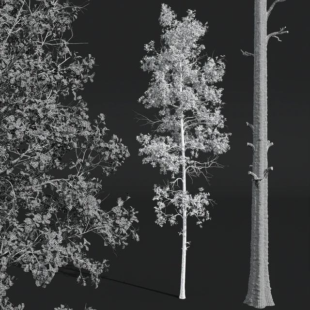 New Plant High detail Populus Tremuloides 2trees — Descargar