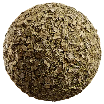 fallen leaves and grass 003 — Скачать