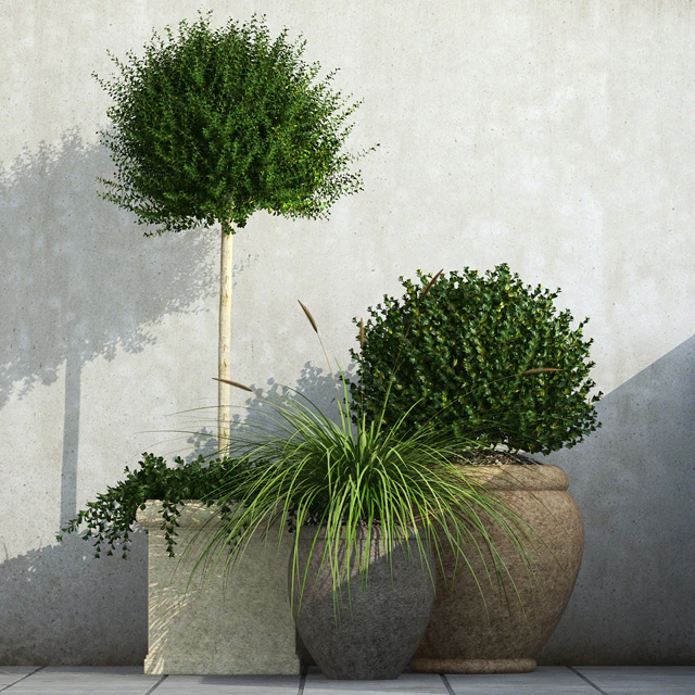 Outdoor Planters — Download
