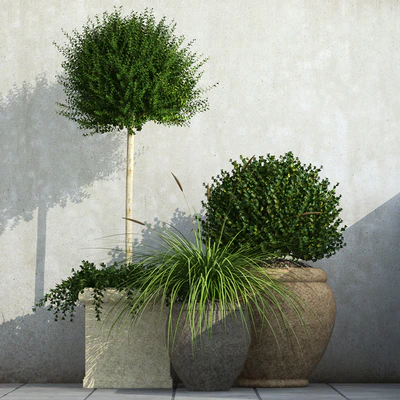 Outdoor Planters — View 1