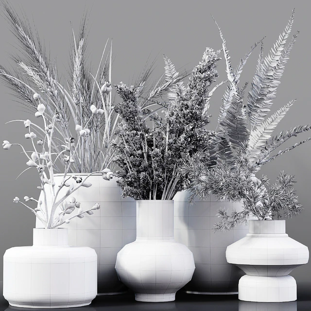 Collection Indoor Plants 03 — Descargar