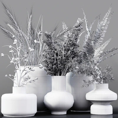 Collection Indoor Plants 03 — Ver 4