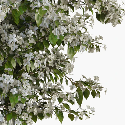 Branches in vases 34 — Вид 2