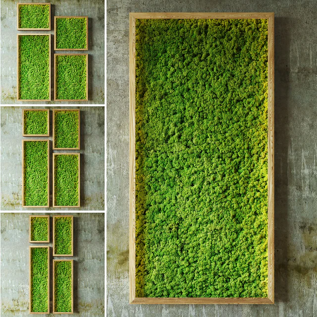 Moss walls — Скачать