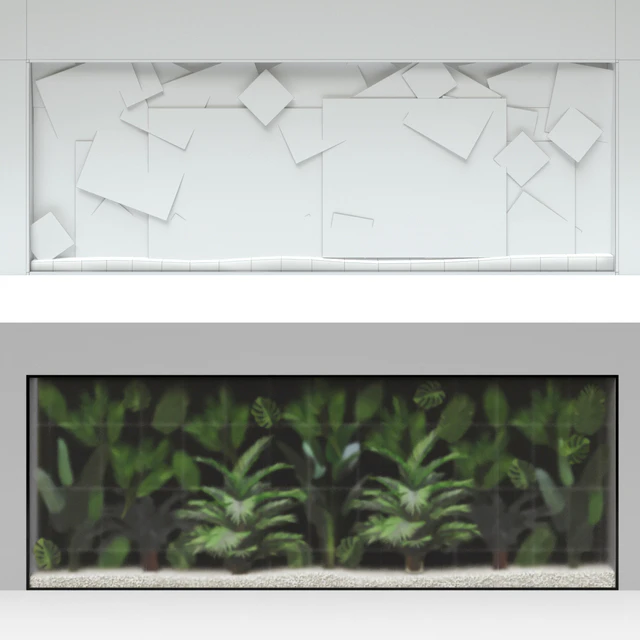 Phyto Display Case — Descargar
