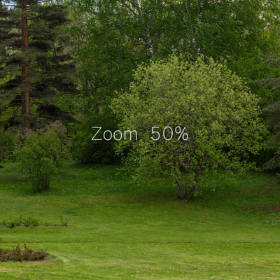 Панорама из парка. 30к — Вид 2