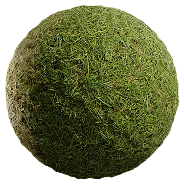 wild grass 050 — Скачать