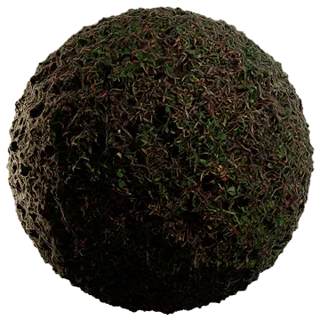 moist lakebed growth 008 — Скачать