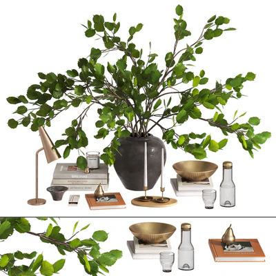 Branches bouquet decorative set — Ver 1