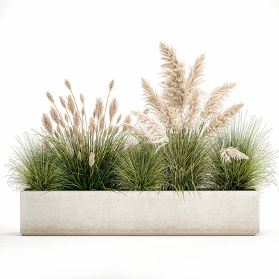 Collection of plants in a pot Pampas grass, reeds, bushes, landscape design, white, flowerbed. Set 1077 — Ver 4