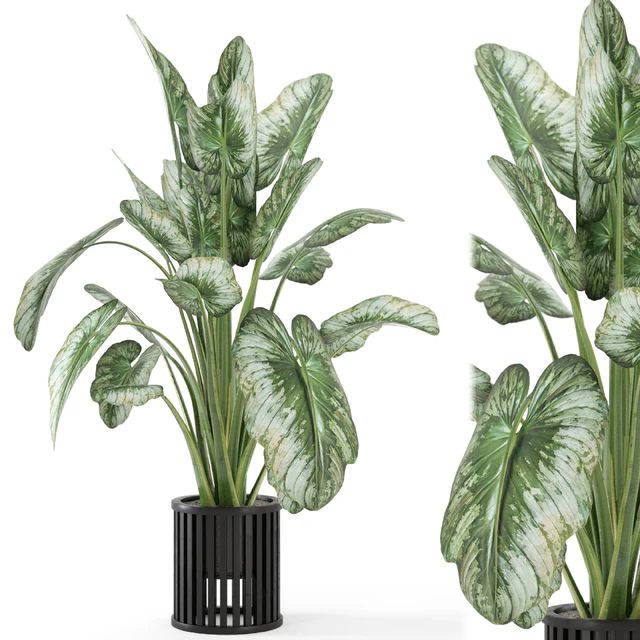 Indoor Plants  in Metal Pot - Set 842 — Скачать