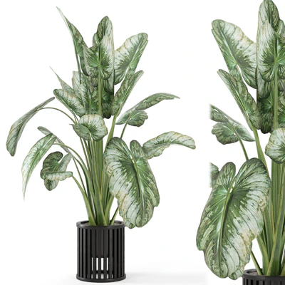 Indoor Plants  in Metal Pot - Set 842 — Вид 1