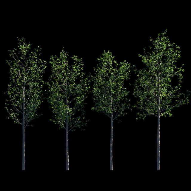 Young trees — Descargar