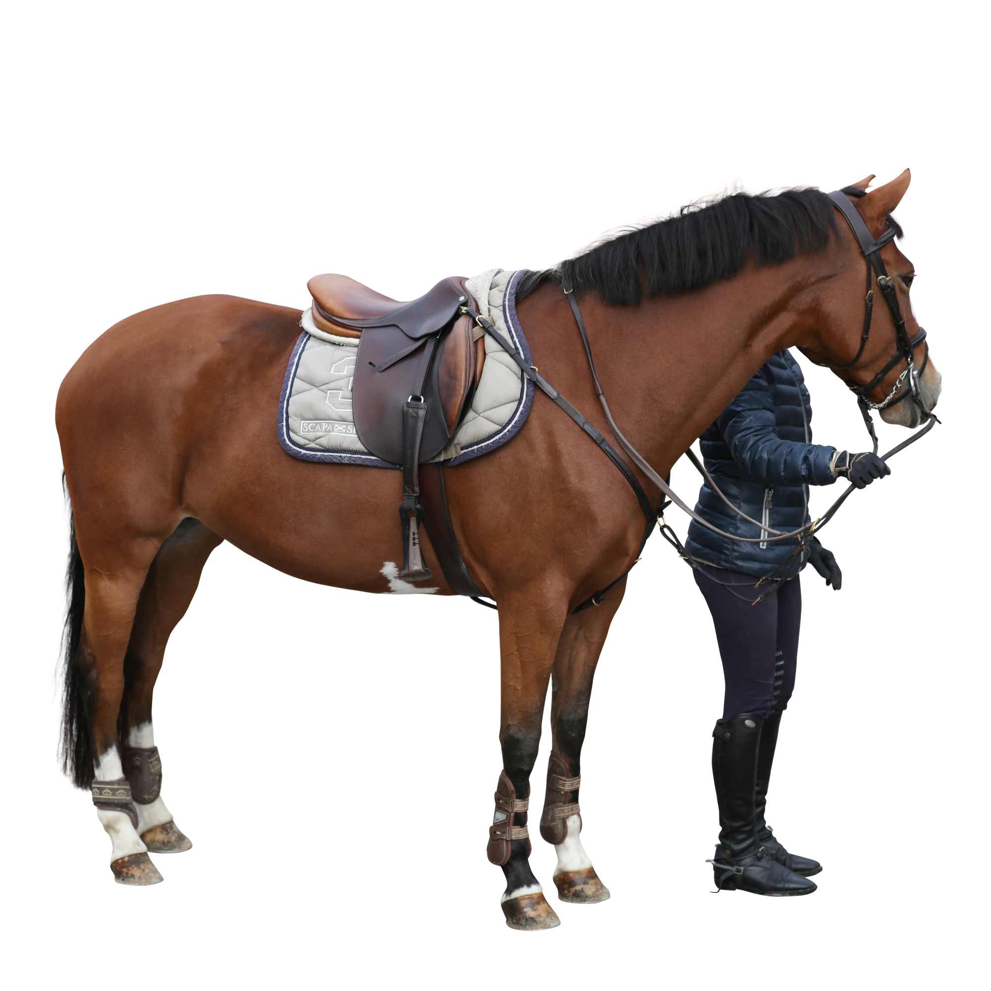 023 — Скачать