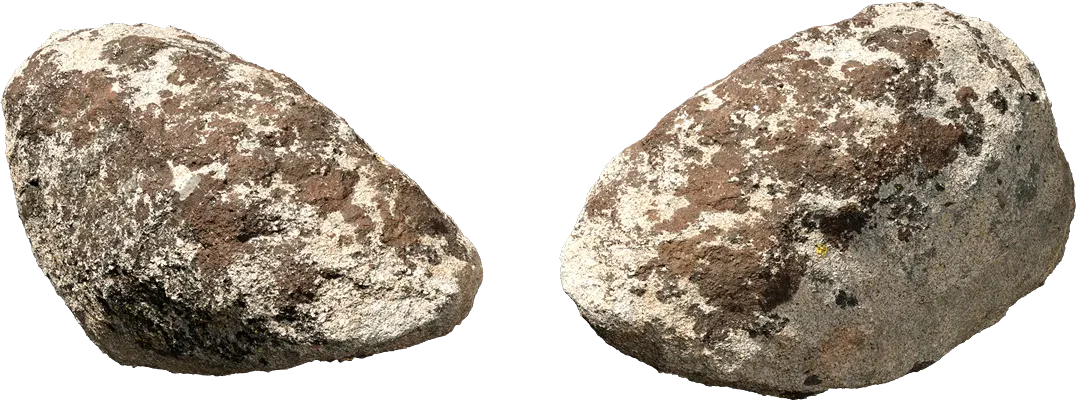 mossy forest boulder 011 — Скачать
