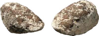 mossy forest boulder 011 — Скачать