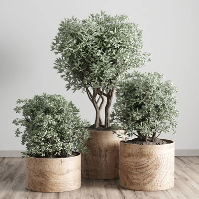 collection Indoor plant 42-wood vase — Вид 3