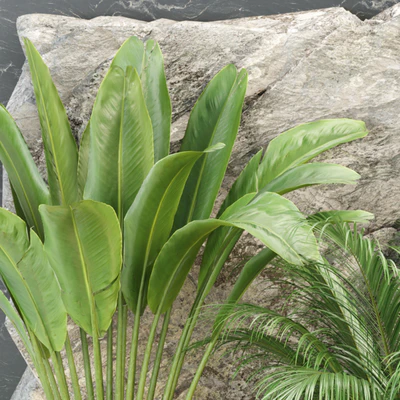 Patio garden indoor vol 137 — Вид 2