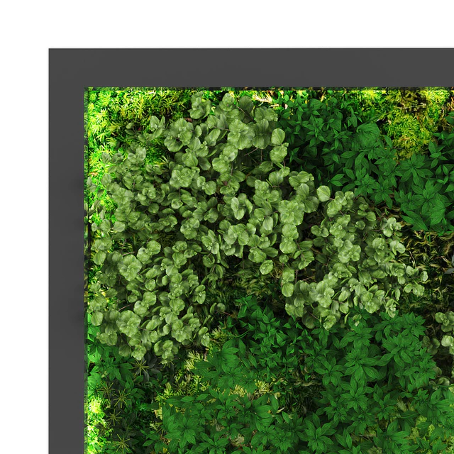 vertical garden178 — Descargar