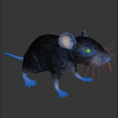 Rat — Ver 3