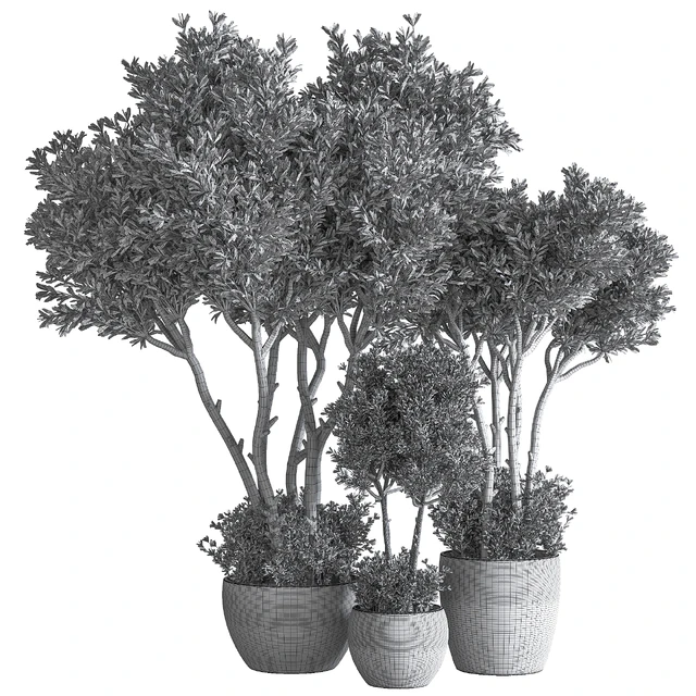 Indoor Plant Set 50 — Descargar