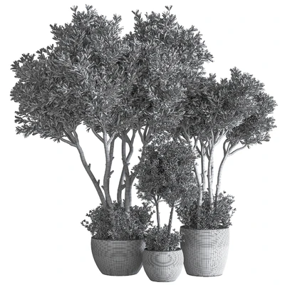 Indoor Plant Set 50 — Ver 3