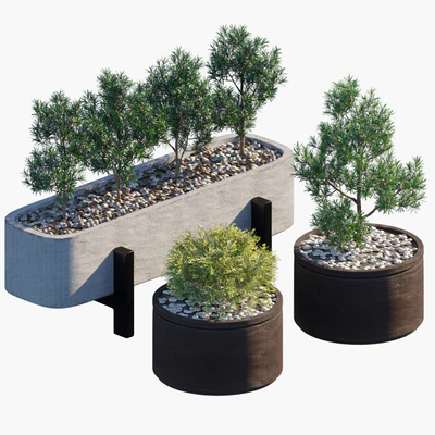 Plant in pots # 34 — View 1