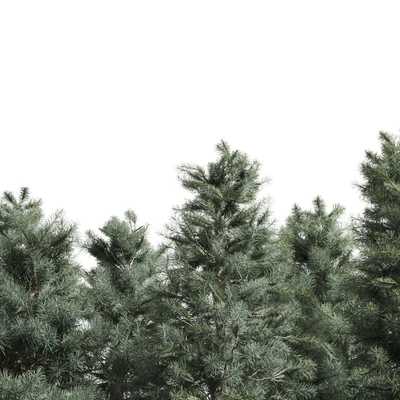3 Pine tree — Ver 3