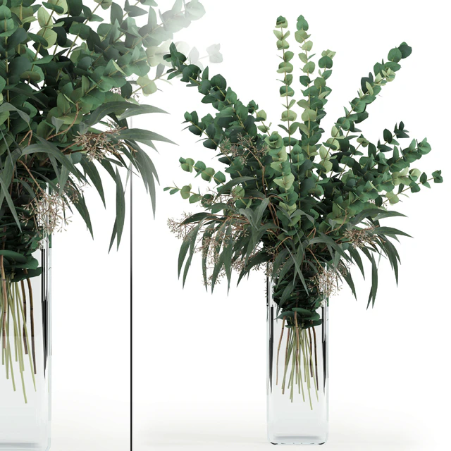 Eucalyptus in tall vase — Скачать