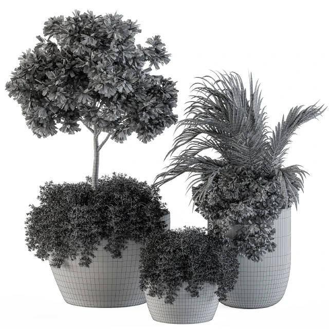 Outdoor Plants Broadleaf - Set 81 — Скачать