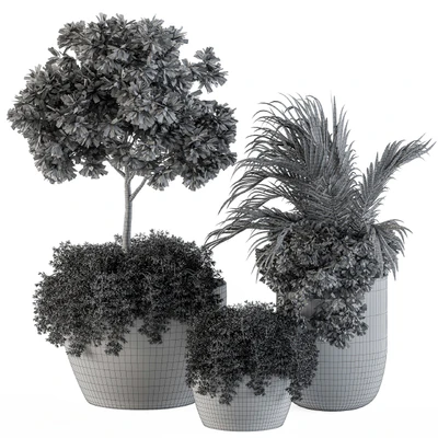 Outdoor Plants Broadleaf - Set 81 — Вид 2