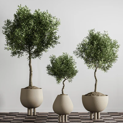 indoor plant stant 46 — Вид 2