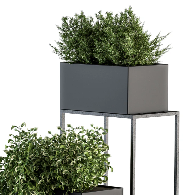 indoor Plant Set 100 - Black stand — Descargar