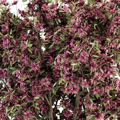 Outdoor Plant Set 352- Purple Flower Tree in Old Pot — Ver 2
