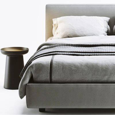 Flexteam ray bed — Ver 2