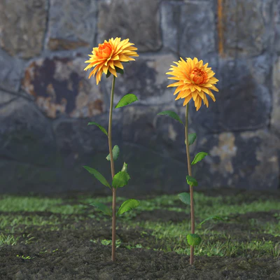 garden flowers 027 — Скачать