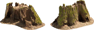 old tree stump 001 — Descargar