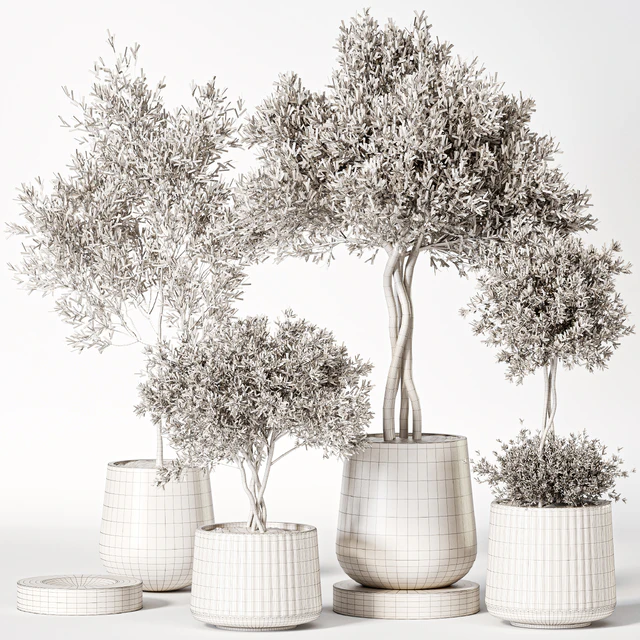 Indoor Plant Set 019 — Descargar