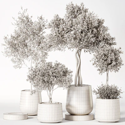 Indoor Plant Set 019 — Ver 3