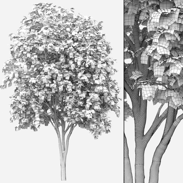 Acer — Descargar