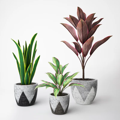 Plant Set — Вид 1