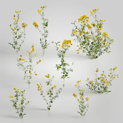 plants and weeds 003 — Descargar