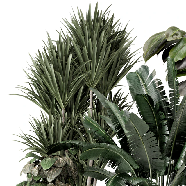 Indoor Plants in Ferm Living Bau Pot Large - Set 1351 — Скачать