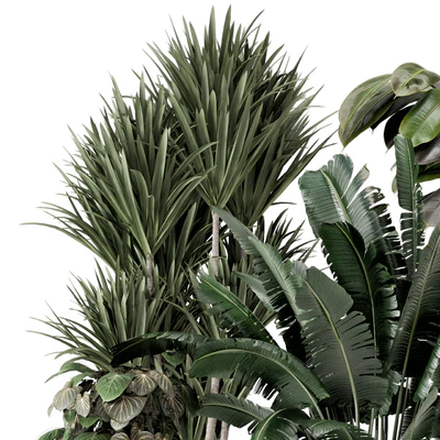 Indoor Plants in Ferm Living Bau Pot Large - Set 1351 — Вид 3