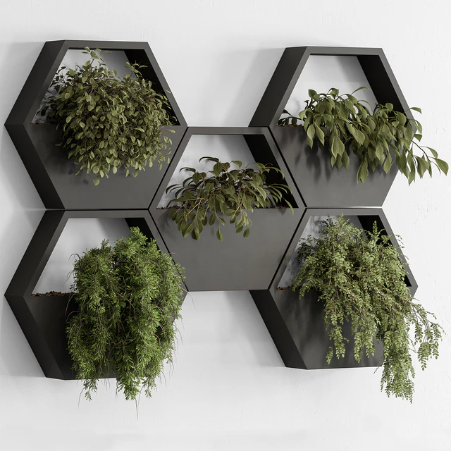 indoor Plant 536 - Hanging Plants — Descargar
