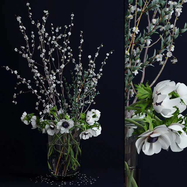 Anemones and branches — Descargar