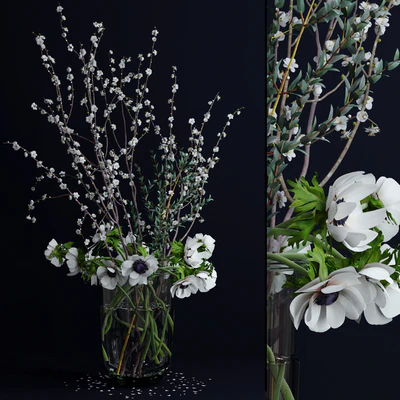 Anemones and branches — Ver 1