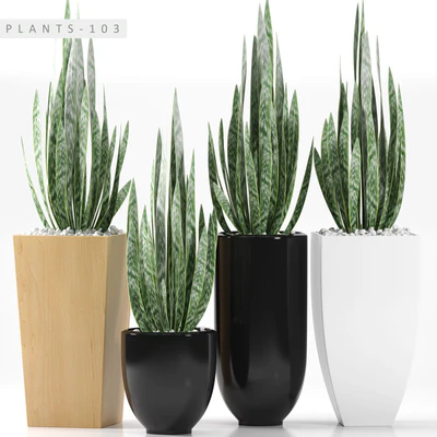 PLANTS 103 — Ver 1