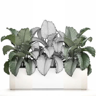Exotic decorative lush thickets of Alchemy bushes in a white pot flowerbed. Set 507. — Ver 2